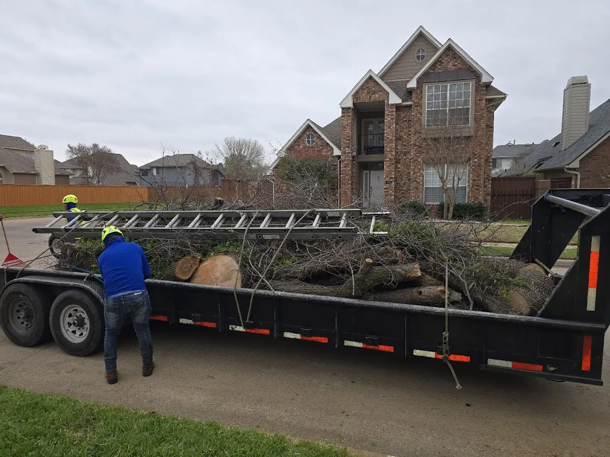 Expert Tree Fertilization with proper safety equipment in Hinsdale